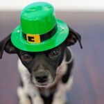 Happy St. Patrick’s Day – The History of St. Patrick